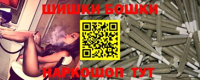 крисы Кулебаки