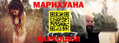 крисы Кулебаки
