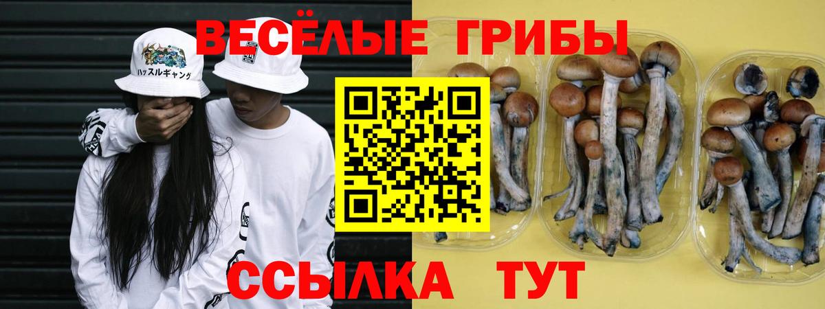 Галлюциногенные грибы Cubensis  Галлюциногенные грибы Psilocybine cubensis  Вход с VPN  Избербаш 